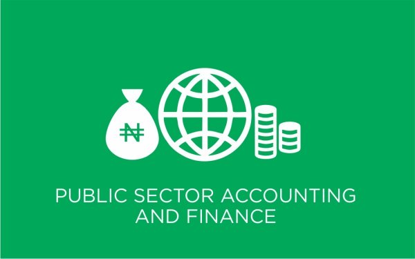 Public Sector Accounting and Finance