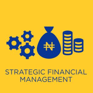 Strategic Financial Management