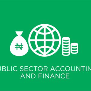 Public Sector Accounting and Finance