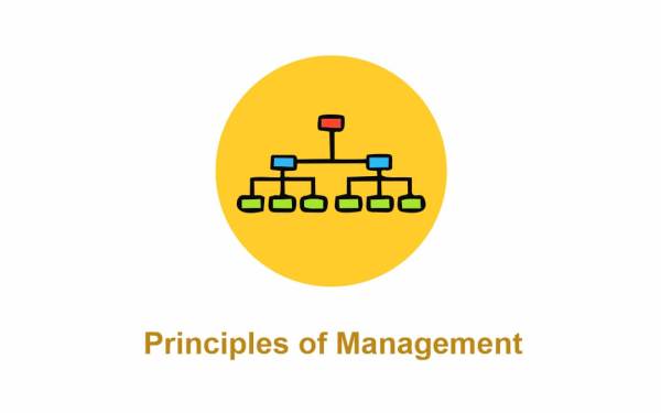 Principles of Management