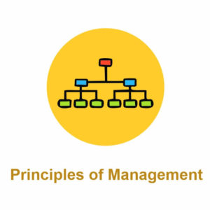 Principles of Management